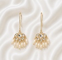 Pearl & Crystal Earring